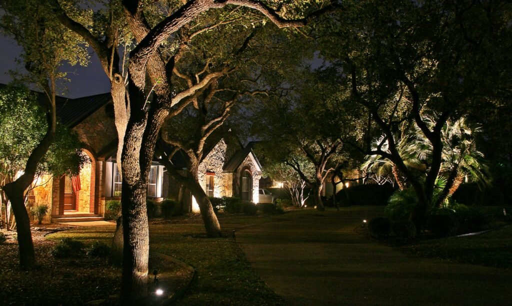 Landscape Lighting