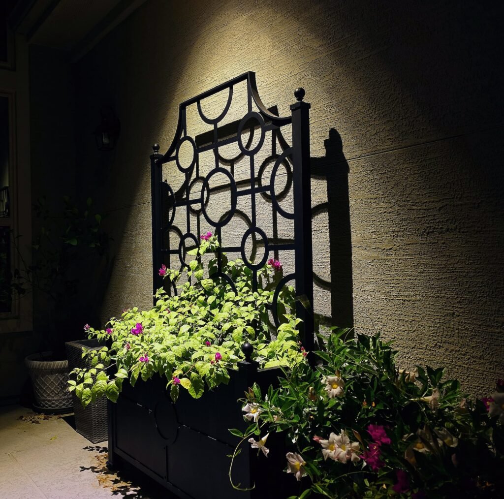 Accent Lighting