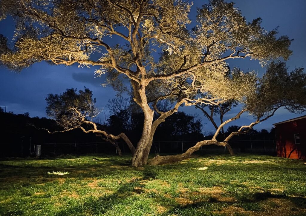Landscape Lighting