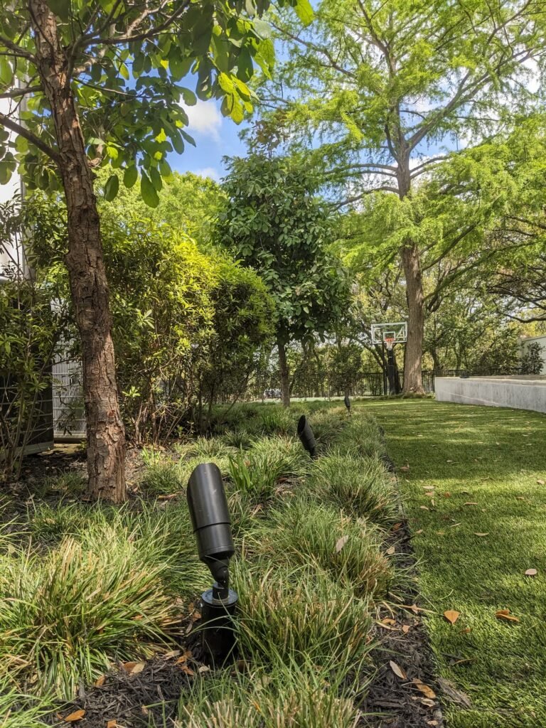 Landscape Lighting